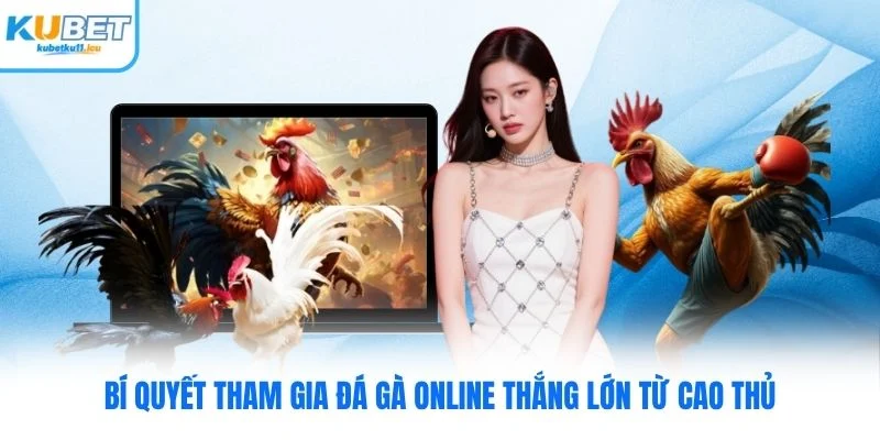 Bí quyết tham gia đá gà online thắng lớn từ cao thủ
