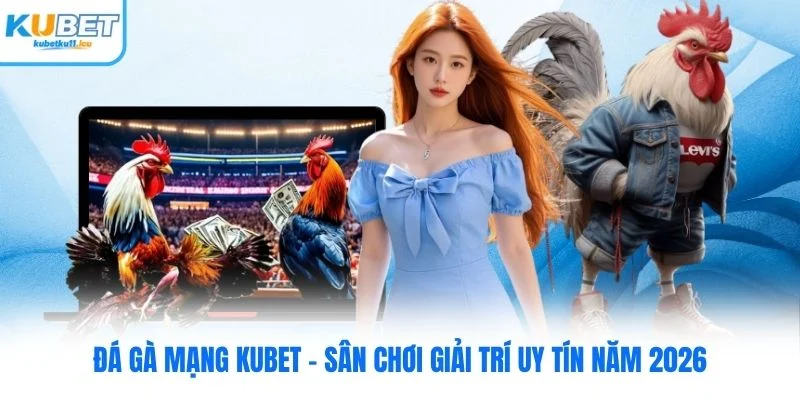 Đá Gà Mạng Kubet - Sân Chơi Giải Trí Uy Tín Năm 2026