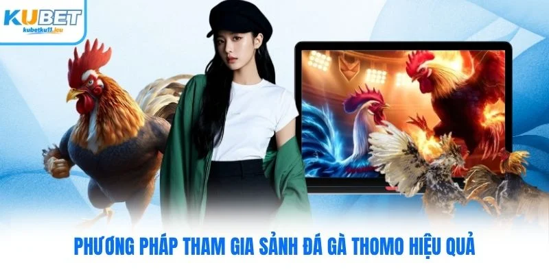 Phương pháp tham gia sảnh đá gà Thomo hiệu quả
