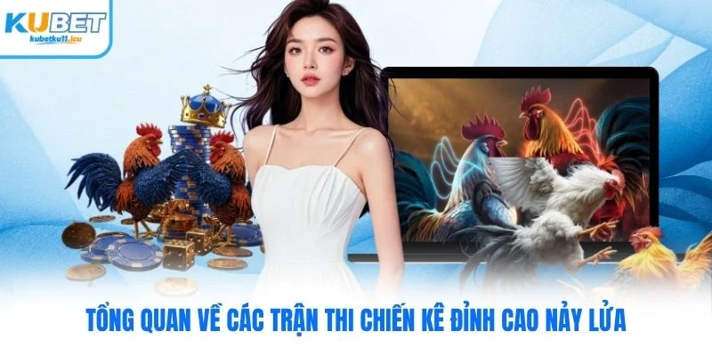 Tổng quan về các trận thi chiến kê đỉnh cao nảy lửa
